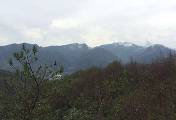 龙须山景区第 44 张图片