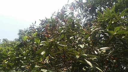 白水寺第 28 张图片