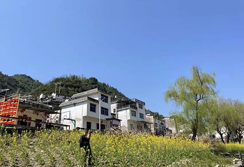新安江山水画廊第 77 张图片