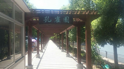 彭墩乡村世界第 17 张图片