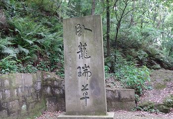 府山第 18 张图片