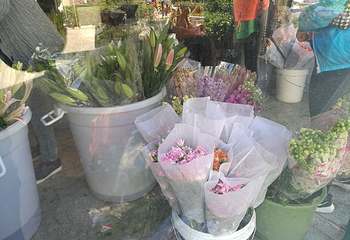 曹庄花卉市场第 4 张图片