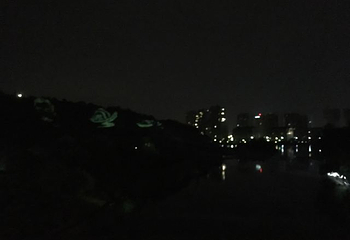 镜湖国家城市湿地公园第 23 张图片