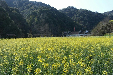 源头古村第 19 张图片
