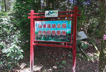四明山国家森林公园第 21 张图片
