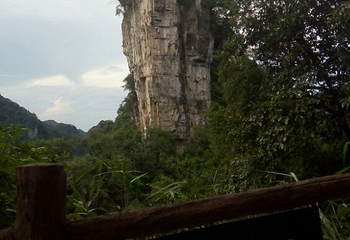油杉河景区第 14 张图片