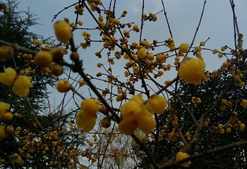 精彩上海旅游联票第 9 张图片