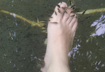 半岭温泉第 41 张图片