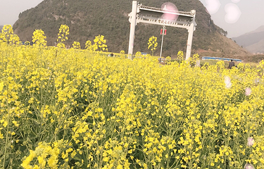 宝镜古民居第 9 张图片
