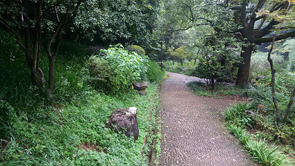 须江公园第 6 张图片