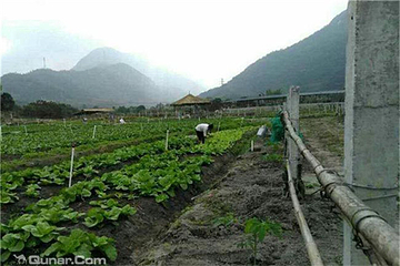 龙印生态园第 3 张图片