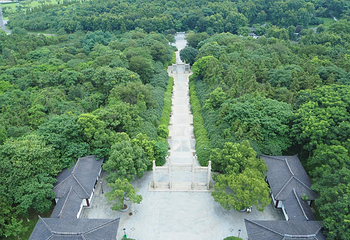 龙背山森林公园第 27 张图片