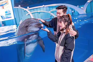 海合安青岛极地海洋公园第 11 张图片