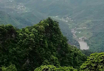 天龙顶国家山地公园第 24 张图片