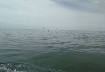 博斯腾湖大河口景区第 49 张图片