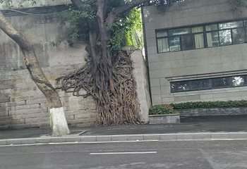 WFC会仙楼观景台第 54 张图片