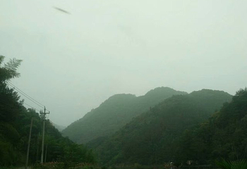 桐庐珊瑚岭乡村旅游度假区第 28 张图片