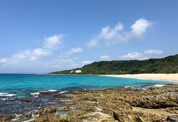 砂岛生态保护区第 4 张图片