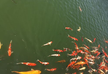 庐山西海主景区第 134 张图片
