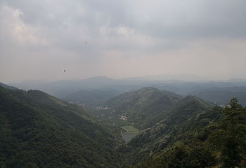 东天目山景区第 36 张图片