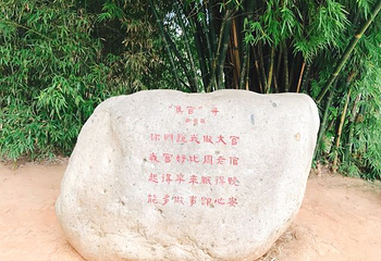 瑞金景区通票第 17 张图片