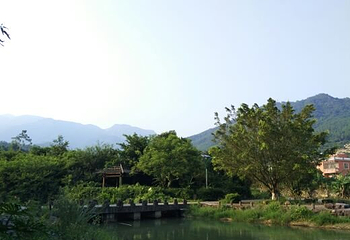 德安古堡第 15 张图片