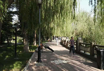 黄河湿地生态公园第 14 张图片