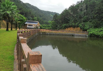 泰康山生态旅游区第 9 张图片