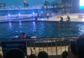 开封极地海洋世界第 31 张图片