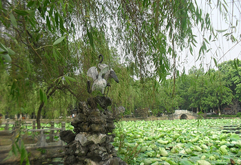 菱湖公园第 14 张图片