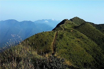 铜鼓峰风景区第 15 张图片