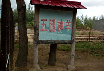 一马树森林公园第 28 张图片