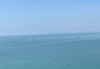放鸡岛生态旅游国际度假区第 35 张图片
