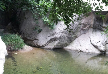 神灵寨风景区第 49 张图片