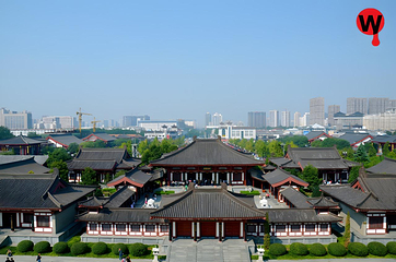 大雁塔第 173 张图片