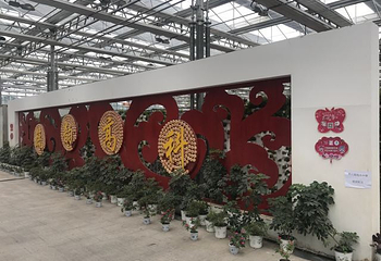 莘县中原现代农业嘉年华第 18 张图片