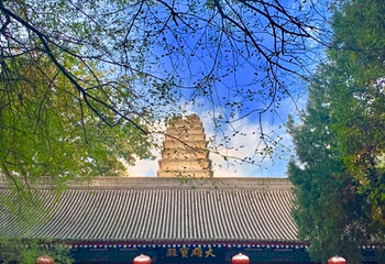 小雁塔遗址公园第 101 张图片