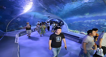 日照海洋公园第 116 张图片