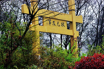 老山国家森林公园第 8 张图片