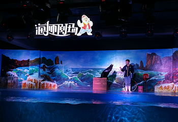 鹏新嘉定海洋世界第 16 张图片