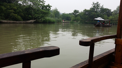 西溪湿地印象摇橹船第 25 张图片