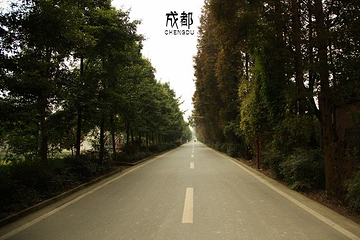 鹿野苑博物馆第 7 张图片