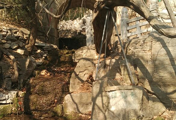 四门塔-涌泉竹林第 24 张图片