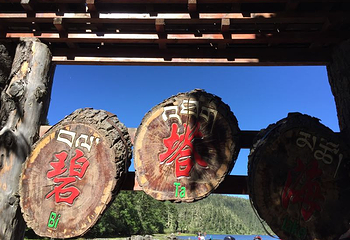 丽江香格里拉直通车第 15 张图片