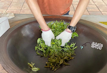 积庆里红茶谷第 16 张图片