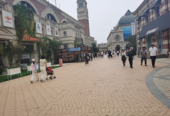老码头帆船基地第 9 张图片