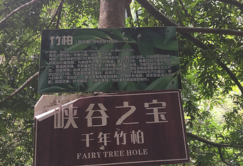 八乡山大峡谷第 13 张图片