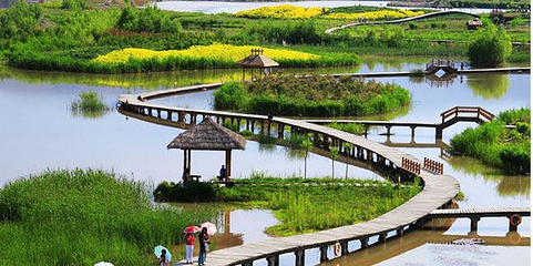 银滩湿地公园第 8 张图片