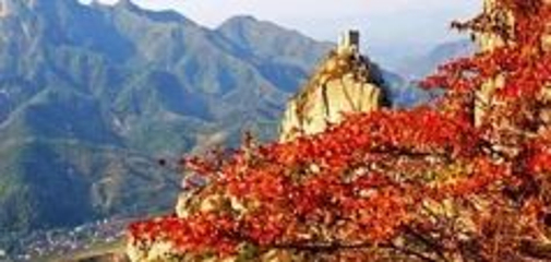 烟台天崮山第 51 张图片