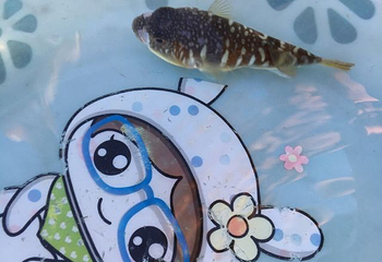 马銮湾第 30 张图片
